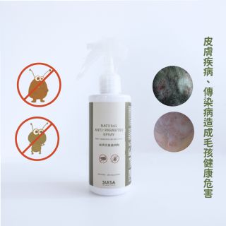 ALL_catalog_25D15_5vYhpobMZq