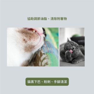 ALL_catalog_25D15_QbzxgnEmYJ