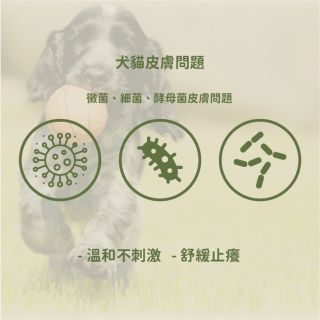 ALL_catalog_25D15_al8k8Fr9Xt
