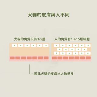ALL_catalog_25D15_f8mkPhRh03