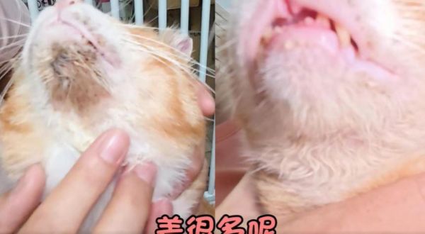 奇蹟（？）發生！才3天黑下巴就消失！！！